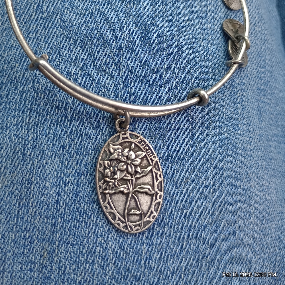 ALEX AND ANI Friend Bracelet.  Friend is Loyal Inspiring and supportive.